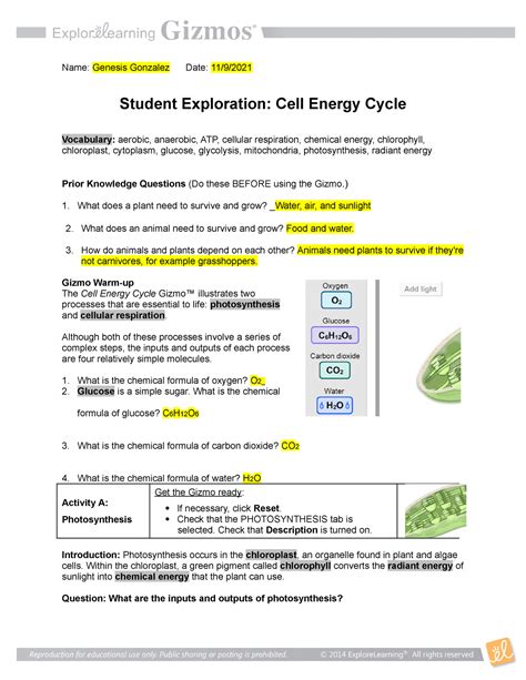 Cell energy cycle gizmo answer key - Gizmo Warm-upphotosynthesis , plants use the energy of light to produce (C 6 H 12 O 6 ) from carbon dioxide (CO 2 ), and water (H 2 O). Glucose is a simple sugar that plants use for energy and as a buildingmolecules. block for larger. A by-product of photosynthesis is oxygen. Plants use some of they produce, but most of it is released.